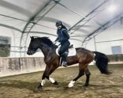 The actress loves outdoor sports like boxing, swimming, horse riding, dance, and yoga when she is not filming.